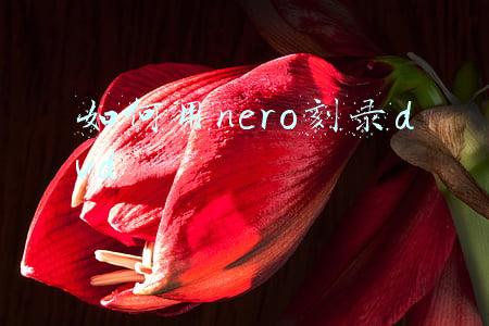如何用nero刻录DVD光盘,外接光驱(怎么用Nero刻录DVD？)