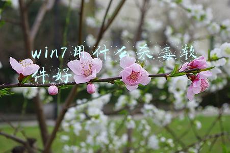 win7用什么杀毒软件好