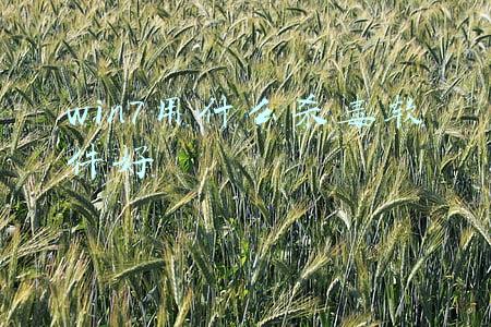 win7用什么杀毒软件好