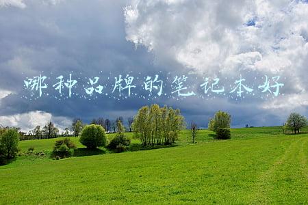 哪种品牌的笔记本好
