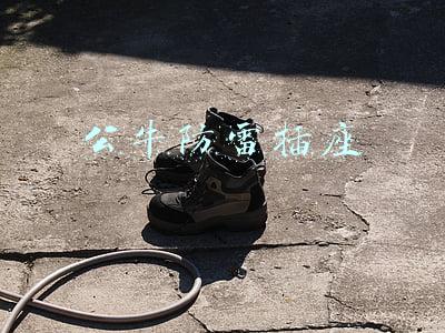 公牛防雷插座防雷220v(海淘大功率电器必备 公牛电源变压器新品618天猫首发)