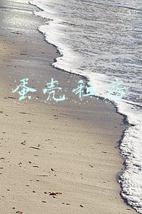 蛋壳租房
