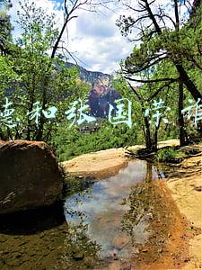 唐鹤德和张国荣谁是男