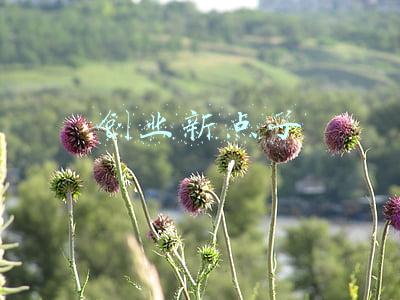 创业新点子100个大学生(教育部公布100个全国普通高校毕业生就业创业工作典型案例)