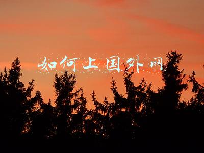 如何进入国外网站(推荐10个值得一去的国外神器网站！登录无需任何手段，实用又有趣)