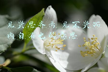 见贤思齐焉 见不贤而内自省也的意思
