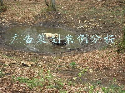 广告策划案例分析试题答案(2021年10月自考00908网络营销与策划试题及答案)