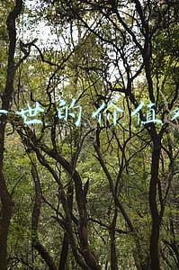 普世的价值观有时候也是一种罪(普世价值观，你的身体欺骗你，你还这么肯定你还是那个你吗)