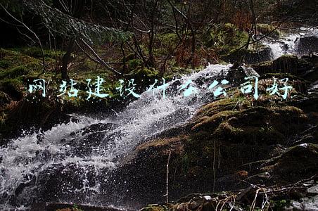 网站建设什么公司好