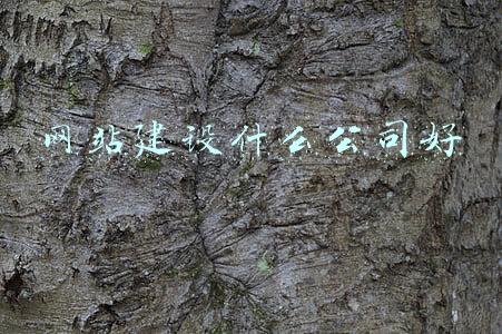 网站建设什么公司好