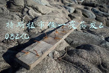 特斯拉市值一夜蒸发2082亿