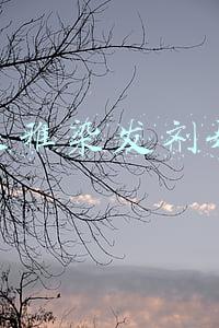 欧莱雅染发剂旗舰店(欧莱雅连续第二年尽“新”尽“美”助力“五五购物节”)