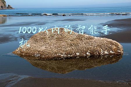 1000元以下的手机大全(快过年了，盘点一下1000元左右的手机，价格由高到低)