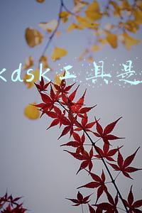 chkdsk工具是什么