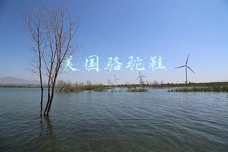 美国骆驼鞋