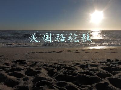 美国骆驼鞋