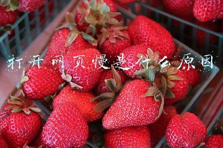电脑打开网页慢是什么原因(为什么电脑打开网页就会闪屏？)