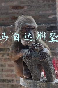 马自达脚垫