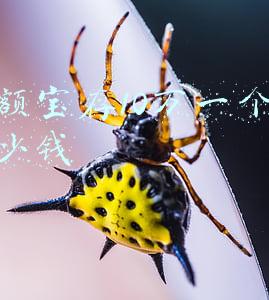 余额宝存10万一个月多少钱利息(余额宝里存10万，一个月能得到多少利息？答案说出来不怕你不信)