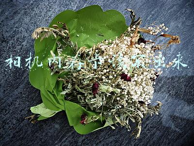 相机内存卡读不出来怎么办(摄影：相机中的存储卡无法读取？可能是这些原因导致的！)