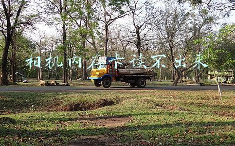 照相机内存卡读不出来(如何修复专业相机不可读的相片？5大招解决专业相机照片不可读)