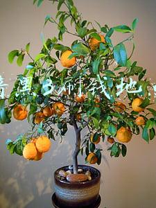 暗黑3刷钱地点