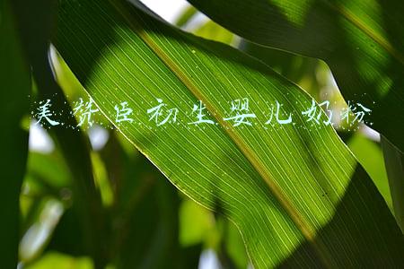 美赞臣初生婴儿奶粉
