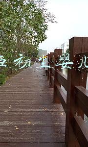 美赞臣初生婴儿奶粉