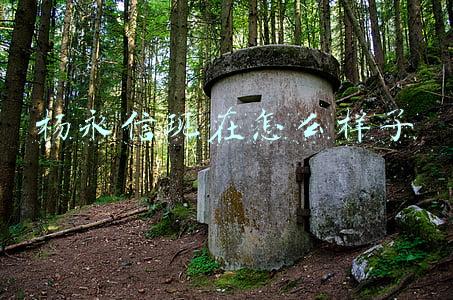 杨永信现在怎么样了