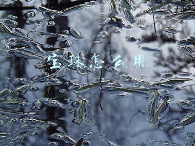 宝珠怎么用