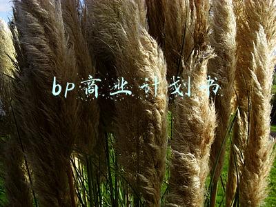 bp商业计划书