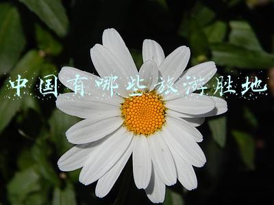 中国有哪些旅游胜地,美名(中国去了就不想走的二十大景点，你去过几个？其中四川占了三个)