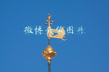 微博头像图片怎么删除照片(突破九宫格，朋友圈可以发20张图了！手把手教你拥有微信“小老虎”→)