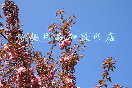 情趣用品加盟网店