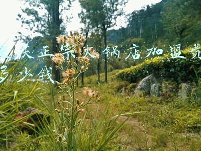 北京正宗重庆火锅；北京正宗重庆火锅店
