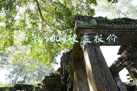 西数500g移动硬盘报价(这个无线移动硬盘有点6，小编亲测了它所有功能)