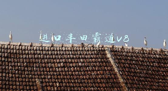 进口丰田霸道v8