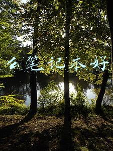 什么笔记本好用