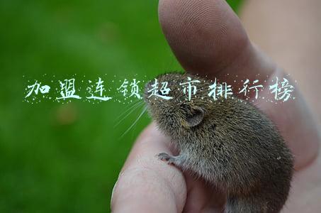 加盟连锁超市排行榜