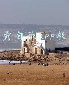 免费自制app软件下载(樱桃走心，西瓜走肾，这款 App 用水果标记你赤裸裸的约会需求)