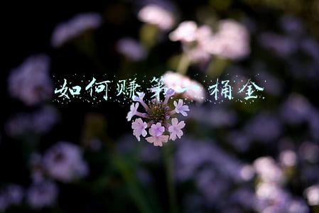 曹德旺如何赚第一桶金(曹德旺第一桶金：83年承包乡镇企业赚20万，合伙人吵着分钱走人)