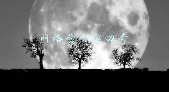 网络营销能力秀官网(助力职业教育“双师型”队伍建设 新媒体营销专项能力师资培训班启动)
