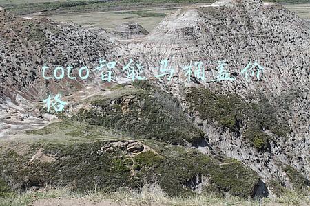 toto智能马桶盖价格