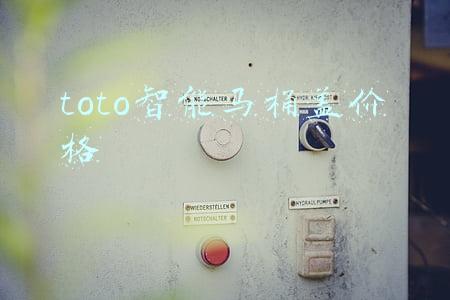 toto智能马桶盖官网(装修动工前的准备工作，预算、设计、订的东西以及其他一些思考)