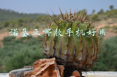 诺基亚最耐用的手机是哪款(“复刻版” 来袭！诺基亚最耐用手机，将重新发布！)