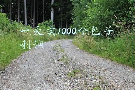 一天卖1000个包子利润是多少(一个平平无奇的包子一天能赚多少钱？)