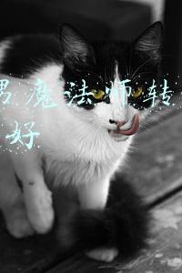 dnf男魔法师转什么职业好