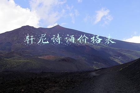 轩尼诗酒价格表