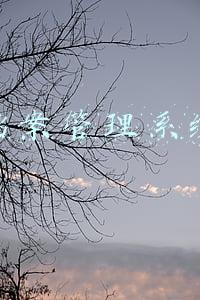 免费档案管理系统软件 排名(推荐五款企业必备的固定资产管理系统)