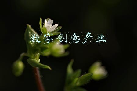 2020年江苏数字创意产业(走近2021文化科技融交会 看江苏文化产业数字化建设之花绽放)